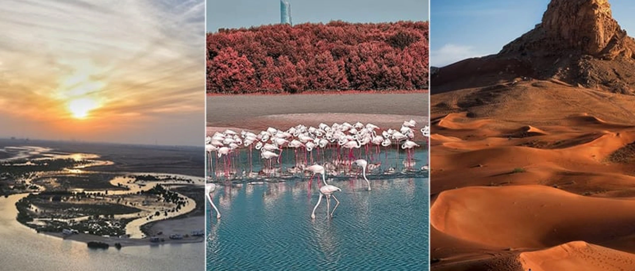 Proč jsou Spojené arabské emiráty jedním z nejbezpečnějších míst na světě?